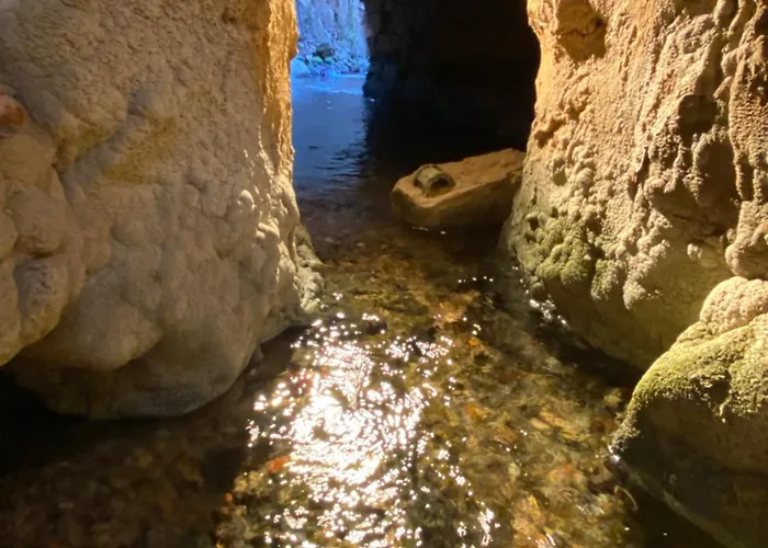 Caseron De La Fuente